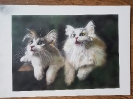 airbrush_1