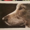 airbrush_1
