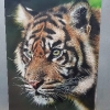 Airbrush Rkjony_1